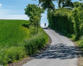 Aktiv und fit durch die Natur in der Holsteinischen Schweiz